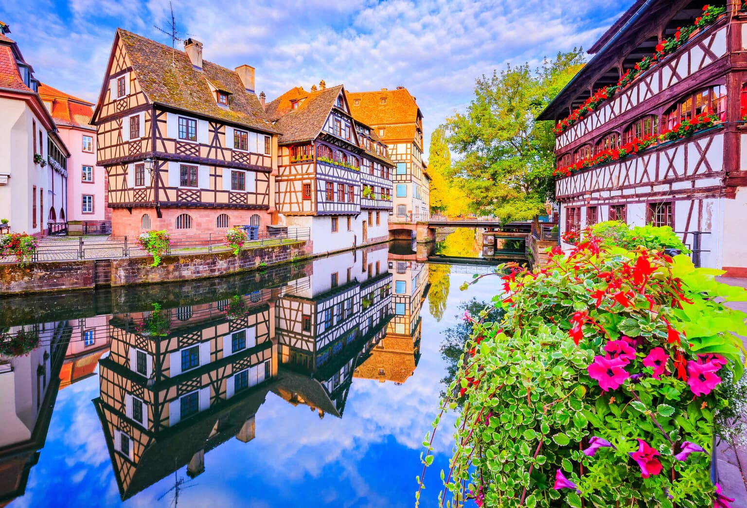 Strasbourg – agence automatisation IA Volteyr